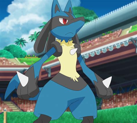 what is good against steelix.